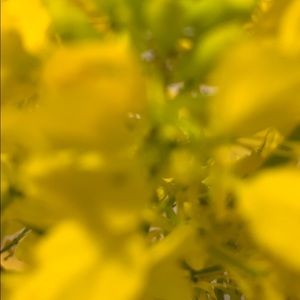 Meet your Posher, Andreea